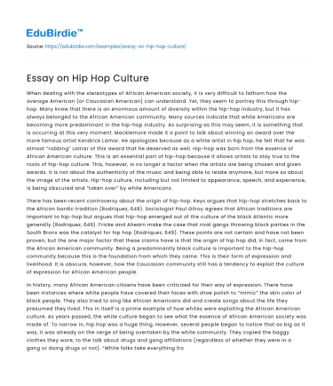 Essay on Hip Hop Culture