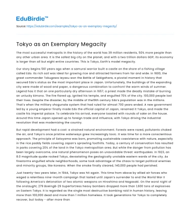 Tokyo as an Exemplary Megacity