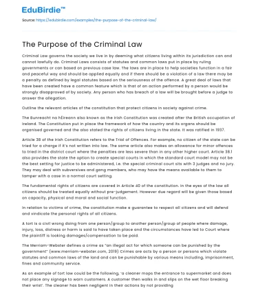The Purpose of the Criminal Law