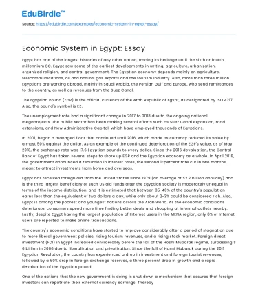 Economic System in Egypt: Essay