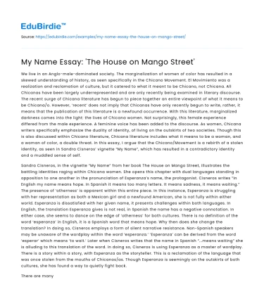 My Name Essay: ‘The House on Mango Street’