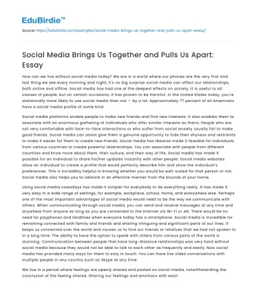 Social Media Brings Us Together and Pulls Us Apart: Essay