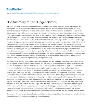 Plot Summary of The Hunger Games