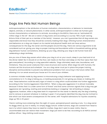 Dogs Are Pets Not Human Beings