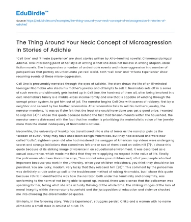 Adichie’s Stories: Microagressions in The Thing Around Your Neck