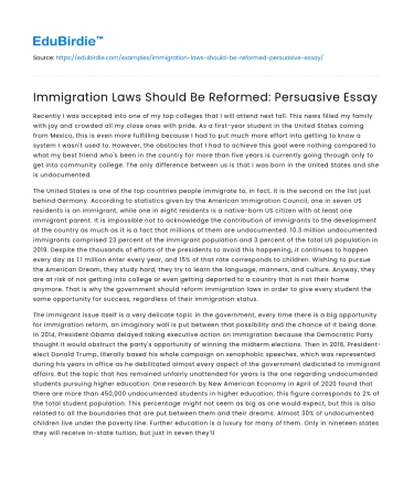 Immigration Laws Should Be Reformed: Persuasive Essay