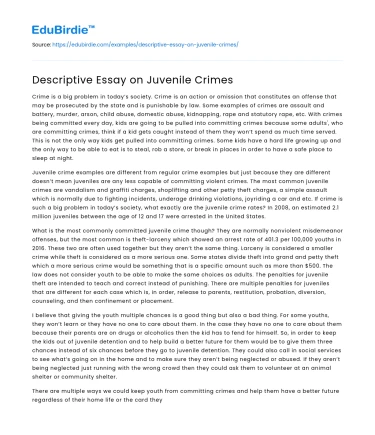 Descriptive Essay on Juvenile Crimes