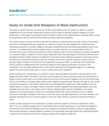 Essay on Israel and Weapons of Mass Destruction