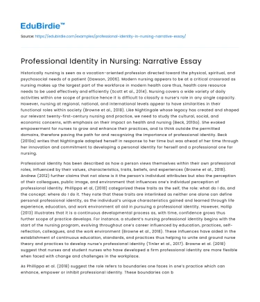 Professional Identity in Nursing: Narrative Essay