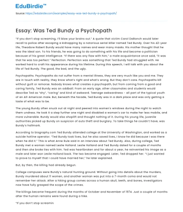 Essay: Was Ted Bundy a Psychopath