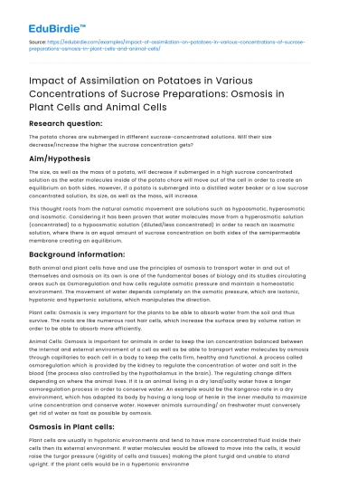 The Role of Osmosis in Potato Cells: Sucrose Assimilation