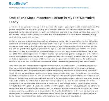 One of The Most Important Person in My Life: Narrative Essay