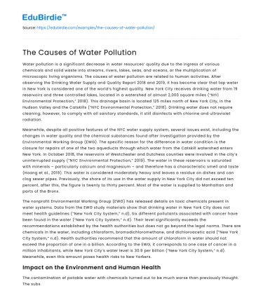 The Causes of Water Pollution
