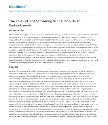 The Role Od Bioengineering In The Stability Of Embankments