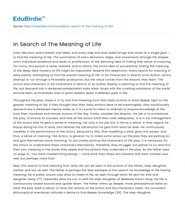 In Search of The Meaning of Life