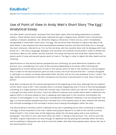 Use of Point of View in Andy Weir’s Short Story ‘The Egg’