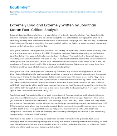 Cinematic Narrative and Emotional Depth in Foer’s Work