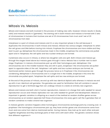 Mitosis Vs. Meiosis