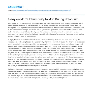 Essay on Man’s Inhumanity to Man During Holocaust