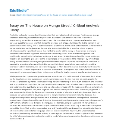Essay on ‘The House on Mango Street’: Critical Analysis Essay