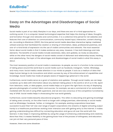Essay on the Advantages and Disadvantages of Social Media
