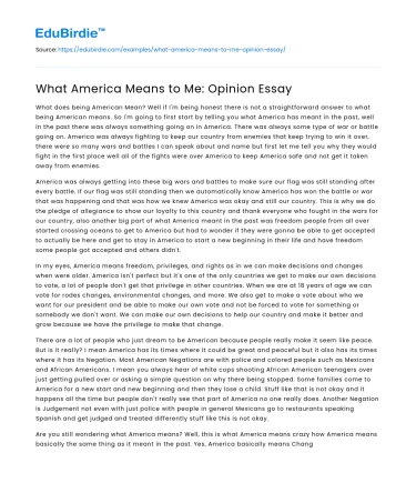 What America Means to Me: Opinion Essay