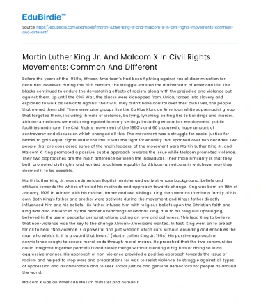 MLK Jr and Malcom X in Civil Rights: Common & Different