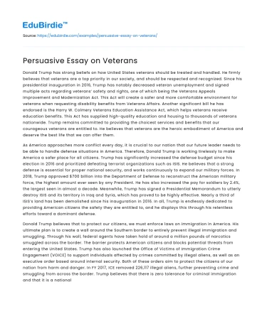 Persuasive Essay on Veterans