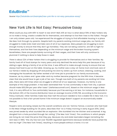 New York Life Is Not Easy: Persuasive Essay