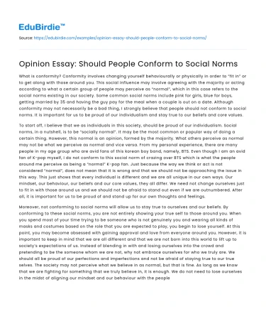 Opinion Essay: Should People Conform to Social Norms