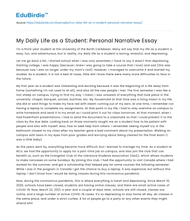 My Daily Life as a Student: Personal Narrative Essay