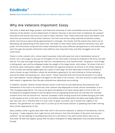 Why Are Veterans Important: Essay