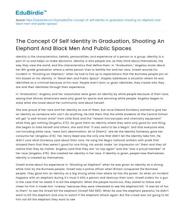 Self-Identity in Graduation, Shooting Elephant, and Public Spaces