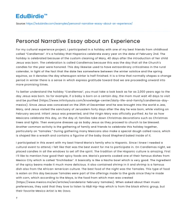 Reflecting on a Life-Altering Journey