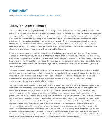 Essay on Mental Illness