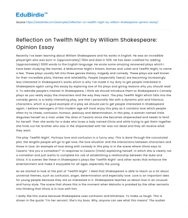 Reflection on Twelfth Night by William Shakespeare: Opinion Essay