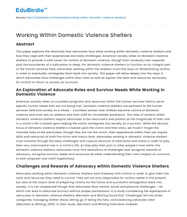Working Within Domestic Violence Shelters