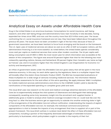 Analytical Essay on Assets under Affordable Health Care