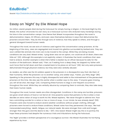 Essay on ‘Night’ by Elie Wiesel Hope