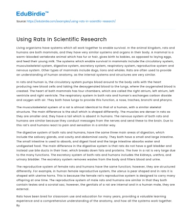 Using Rats In Scientific Research