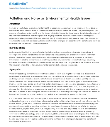 Pollution and Noise as Environmental Health Issues