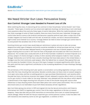 We Need Stricter Gun Laws: Persuasive Essay