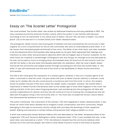 Essay on ‘The Scarlet Letter’ Protagonist
