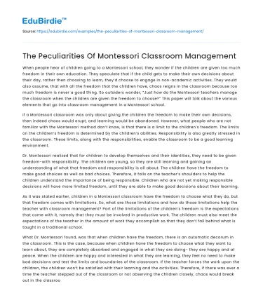 The Peculiarities Of Montessori Classroom Management