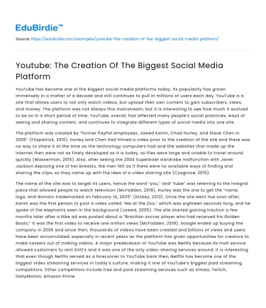 Youtube: The Creation Of The Biggest Social Media Platform