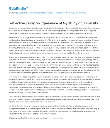 Reflective Essay on Experience of My Study at University