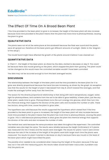 The Effect Of Time On A Broad Bean Plant