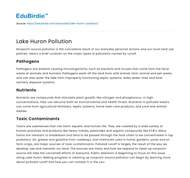 Lake Huron Pollution