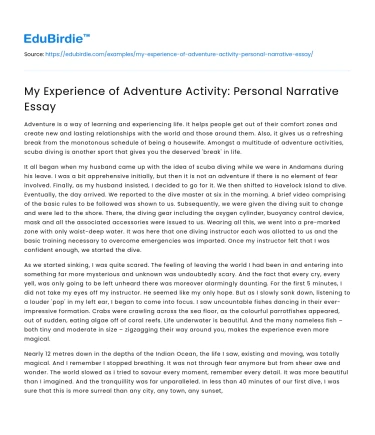 My Experience of Adventure Activity: Personal Narrative Essay