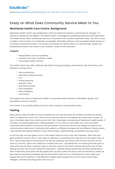 What Does Community Service Mean to You